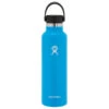 Hydro Flask 21 OZ STANDARD FLEX CAP Trinkflasche PACIFIC